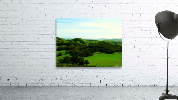 LS038 Wall Preview