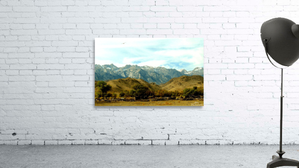 LS026 Wall Preview