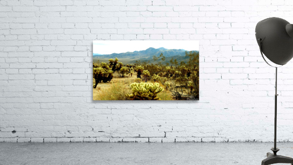 LS018 Wall Preview