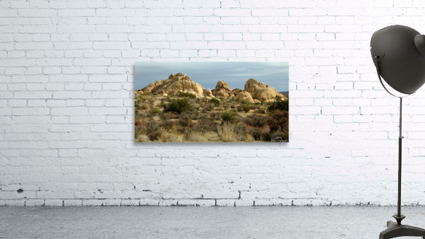 LS048 Wall Preview