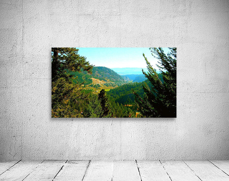 LS027 Wall Preview