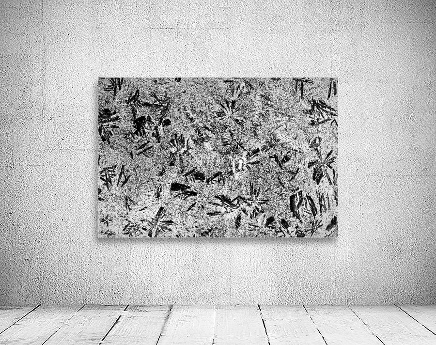 RA005 Wall Preview