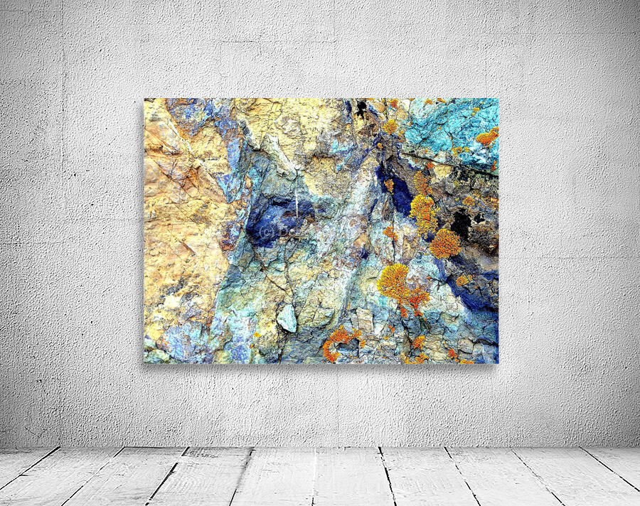 RA003 Wall Preview