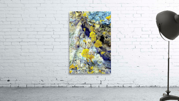 RA030 Wall Preview