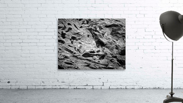 RA015 Wall Preview
