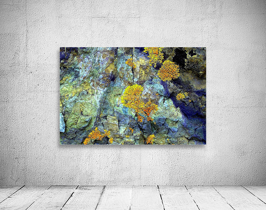 RA031 Wall Preview