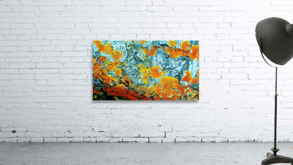 RA002 Wall Preview