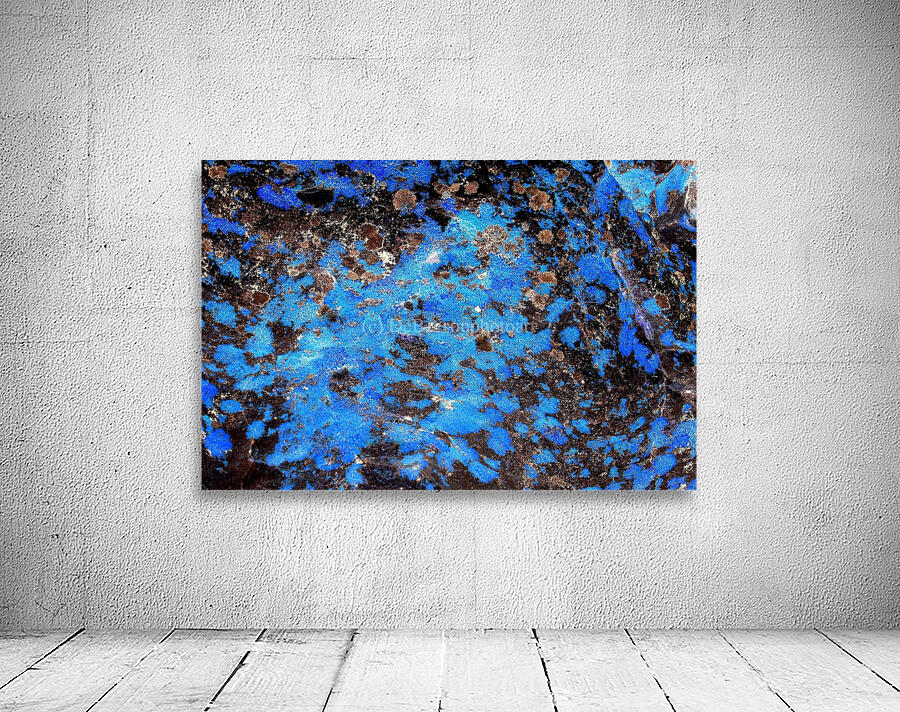 RA010 Wall Preview
