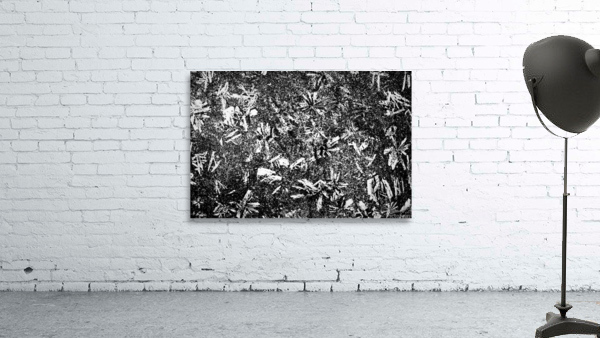 RA004 Wall Preview