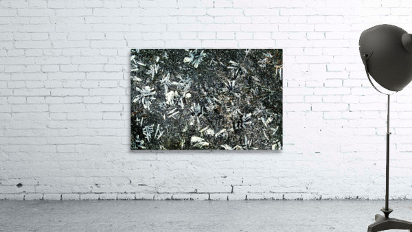 RA033 Wall Preview