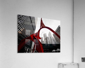 IMG_2648 Acrylic Print