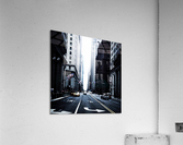 IMG_1852 Acrylic Print