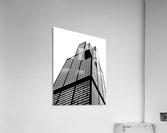 king Acrylic Print