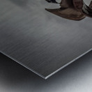 free Metal print
