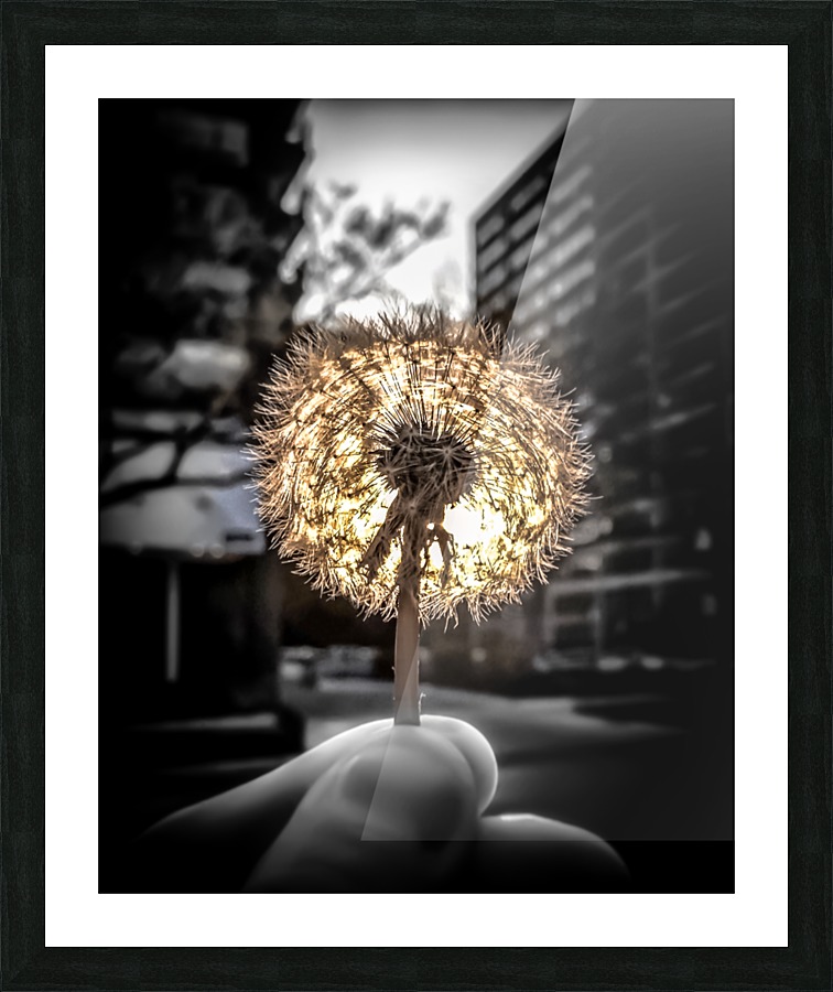 makeawishredux Picture Frame print