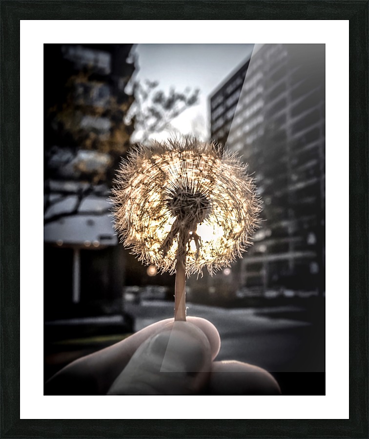 makeawish Picture Frame print