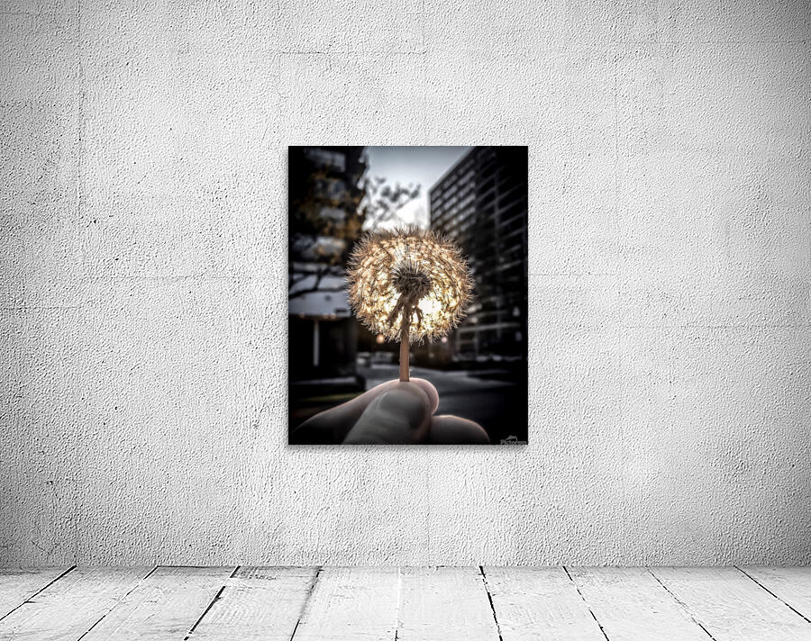 makeawish Wall Preview