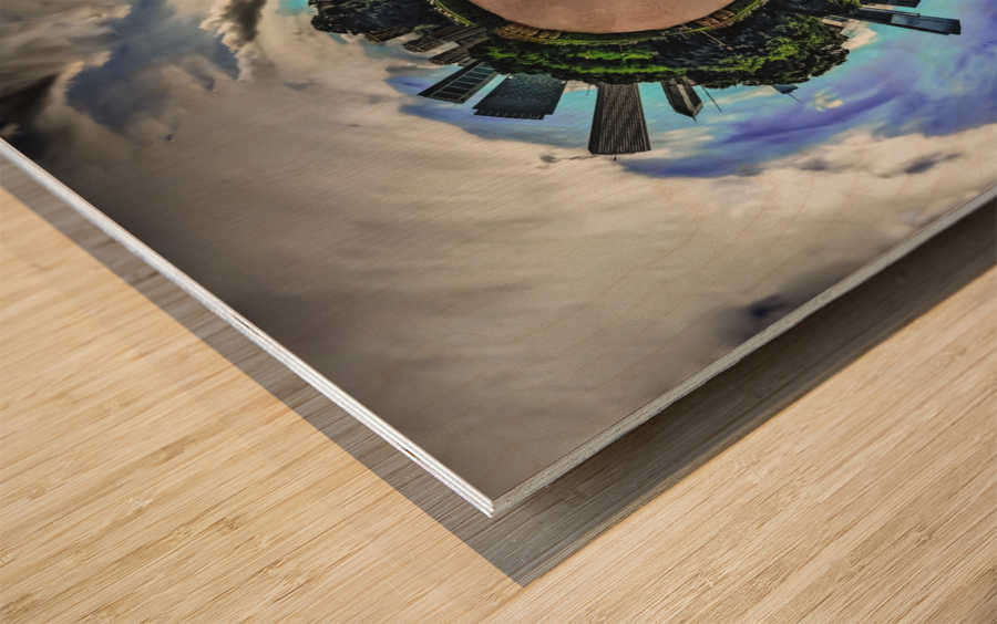 theworldforgranted Wood print