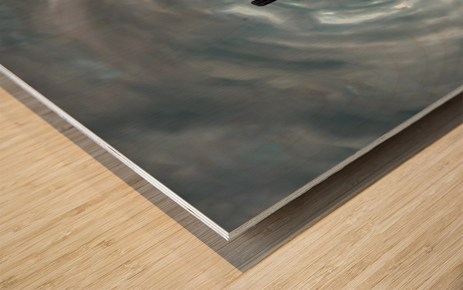 skylineworldprint Wood print