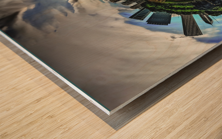worldforgrantedprint Wood print