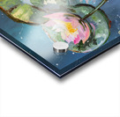 Water lilies Acrylic print