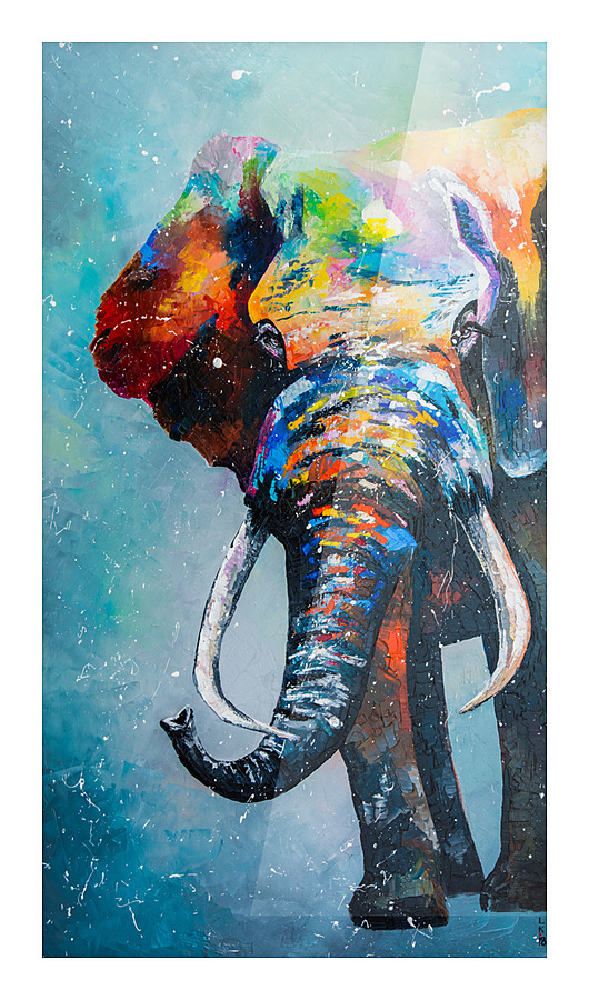 Elephant Picture Frame print