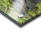 Scarface Brook - Bethlehem New Hampshire Acrylic print