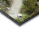 Duck Fall - Low and Burbanks Grant New Hampshire  Acrylic print