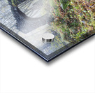 Madame Sherri Forest - Chesterfield New Hampshire Acrylic print