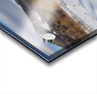 Downes - Oliverian Brook Ski Trail - White Mountains New Hampshire Acrylic print