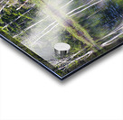 Elbow Pond - North Woodstock New Hampshire Acrylic print