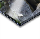 Pemigewasset River - Franconia Notch State Park New Hampshire Acrylic print