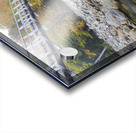 Great Gulf Trail - White Mountains New Hampshire Acrylic print