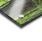 Osseo Trail - White Mountains New Hampshire Acrylic print