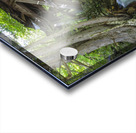 Trestle 16 - East Branch & Lincoln Railroad New Hampshire Acrylic print