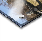 Odiorne Point State Park - Rye New Hampshire Acrylic print