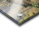 Village of Livermore New Hampshire Acrylic print