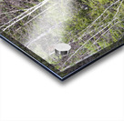 Kancamagus Highway - White Mountains New Hampshire Impression Acrylique