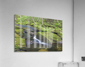 Scarface Brook - Bethlehem New Hampshire Acrylic Print