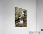 Rollo Fall - Randolph New Hampshire Acrylic Print