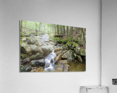 Pollard Brook - Lincoln New Hampshire Acrylic Print