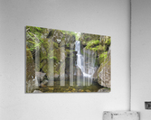 Duck Fall - Low and Burbanks Grant New Hampshire  Acrylic Print