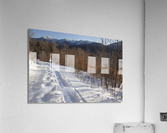 Forest Discovery Trail - White Mountains New Hampshire Acrylic Print