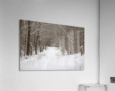 Lafayette Ski Trails - Franconia New Hampshire Acrylic Print