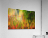 Wildlife Pond - Bethlehem  New Hampshire  Acrylic Print