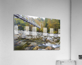 Great Gulf Trail - White Mountains New Hampshire Acrylic Print