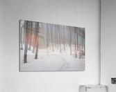 Flume Gorge - Lincoln New Hampshire Impression acrylique