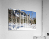 Pemi Trail - Franconia Notch White Mountains Acrylic Print