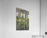 Kancamagus Highway - White Mountains New Hampshire Impression acrylique