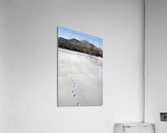 Mount Passaconaway - Albany New Hampshire Acrylic Print